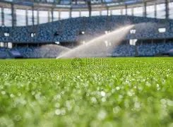 国足两连胜,前景仍不明,附加赛资格,太阳城,太阳城娱乐,太阳城app,太阳城赌场